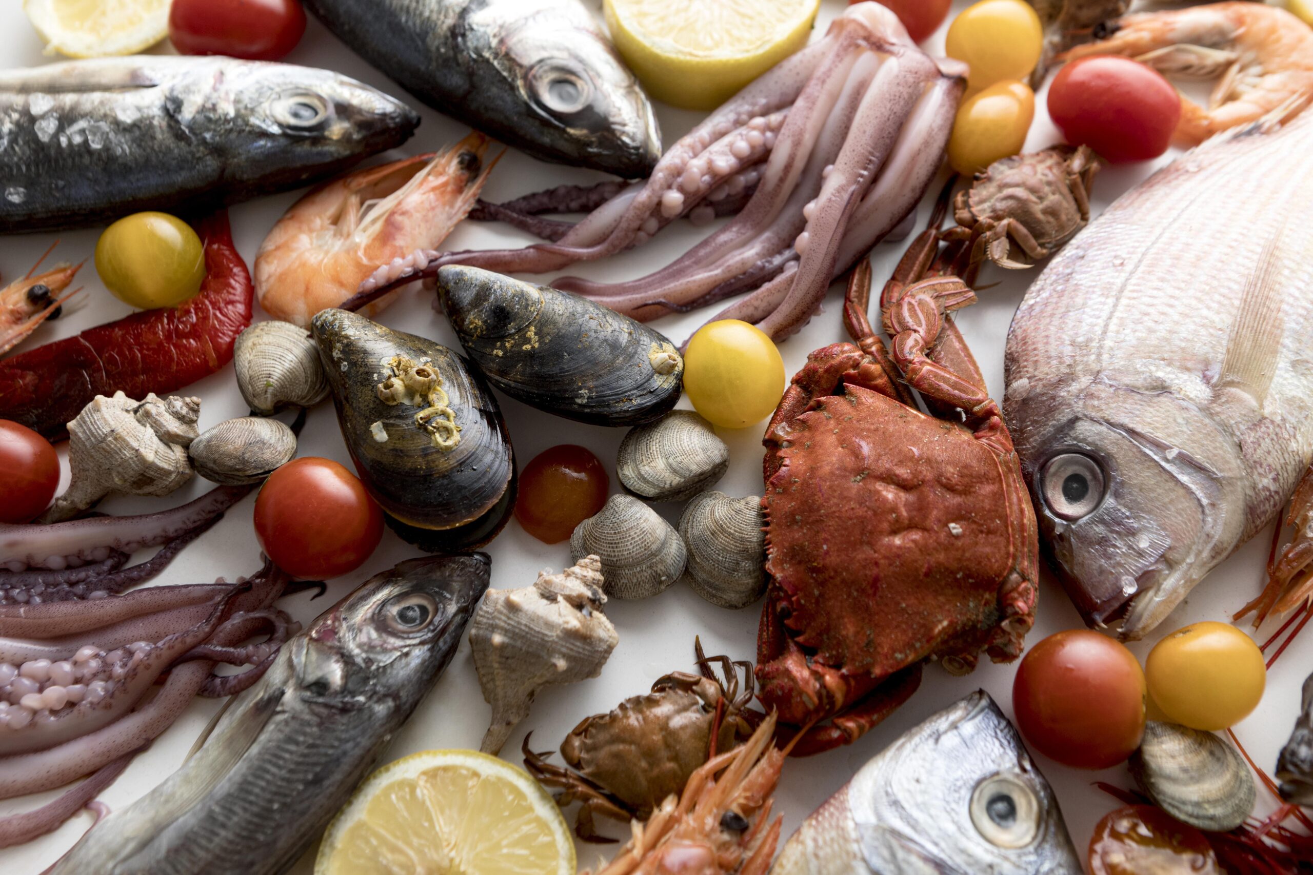 Nowe propozycje ryb i owoców morza!